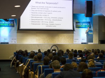 LISBOA 09/NOVEMBRO/2018
LISBON MEDICAL CANNABIS 2018
FOTO: RENATO VELASCO