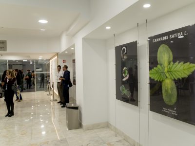 LISBOA 09/NOVEMBRO/2018
LISBON MEDICAL CANNABIS 2018
FOTO: RENATO VELASCO
